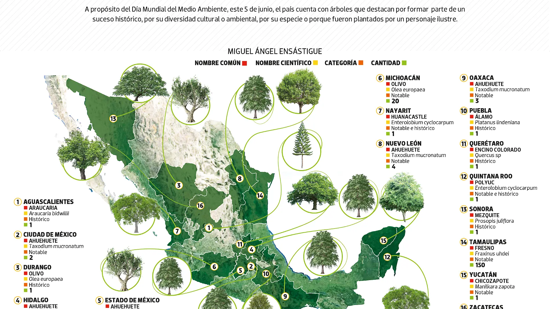 03JUN24 Día del medio Ambiente LUNES DATA WEB-01